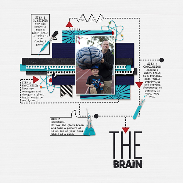 The Brain