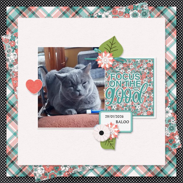 The bright side sampler