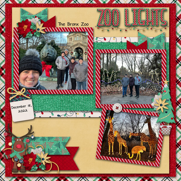 The Bronx Zoo