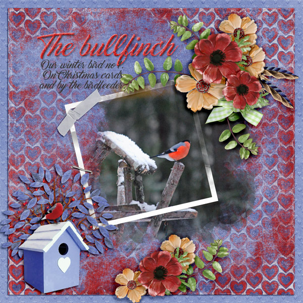 The-bullfinch