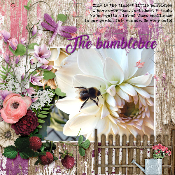 The-bumblebee