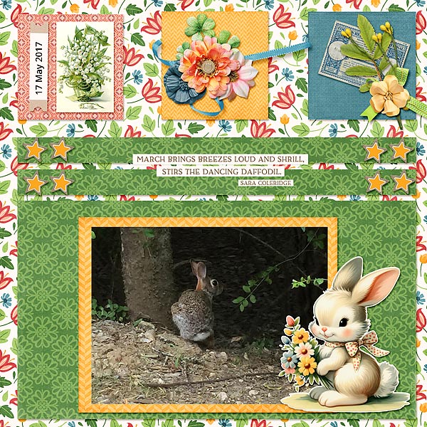 The Bunny