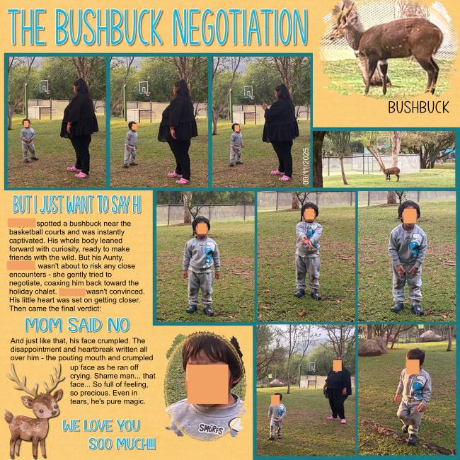The Bushbuck Negotiation