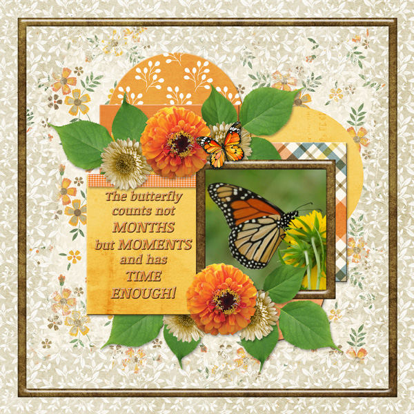 The butterfly counts ...