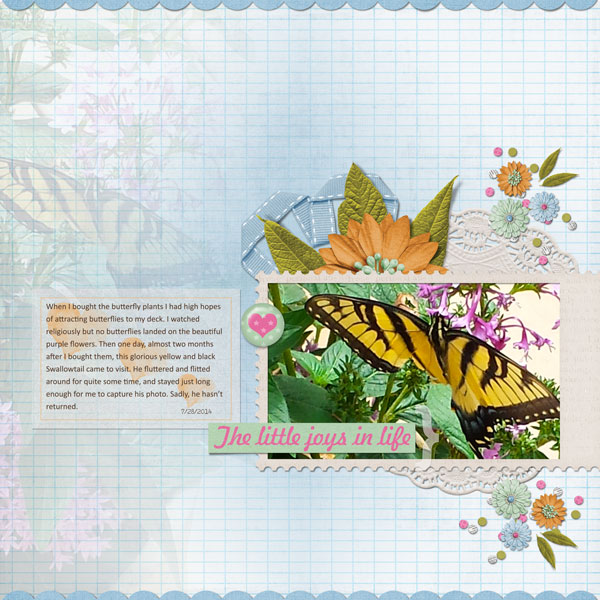 The Butterfly