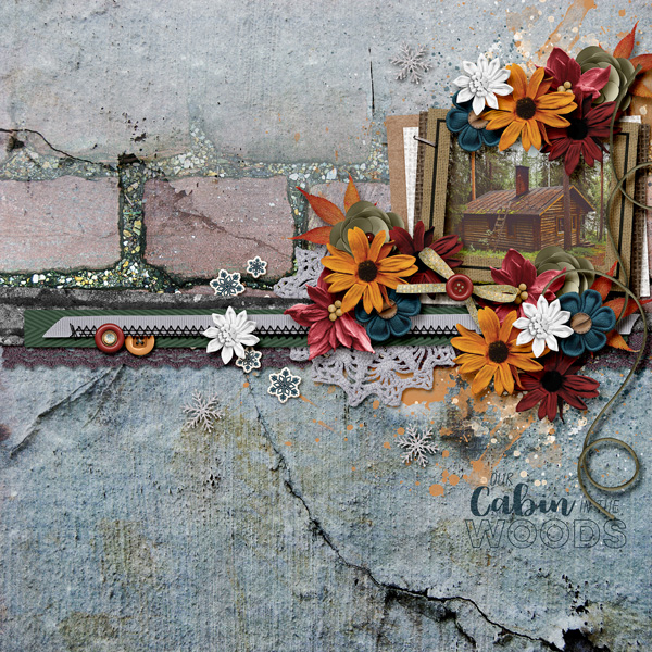 The Cabin