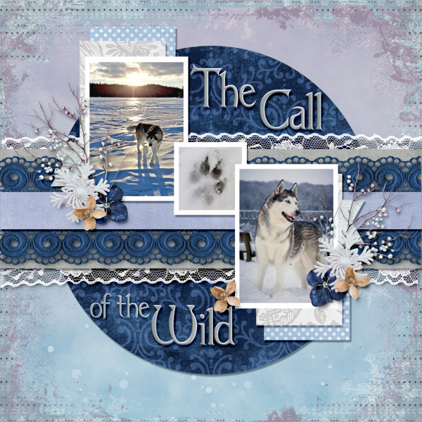 The Call of the Wild