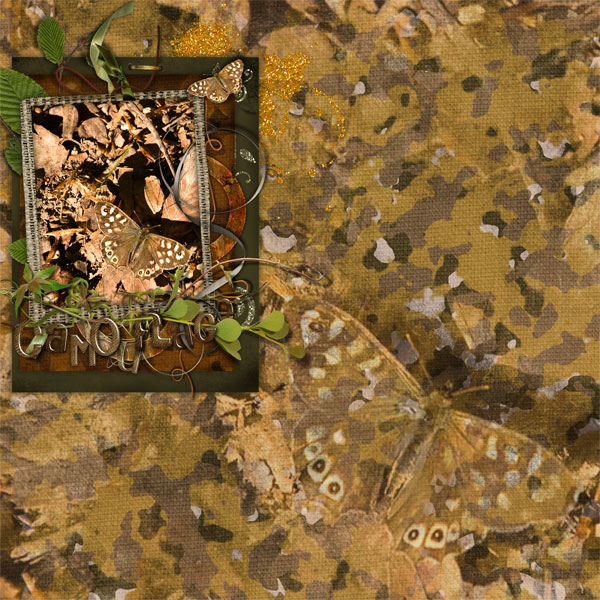 The Camouflaged Butterfly