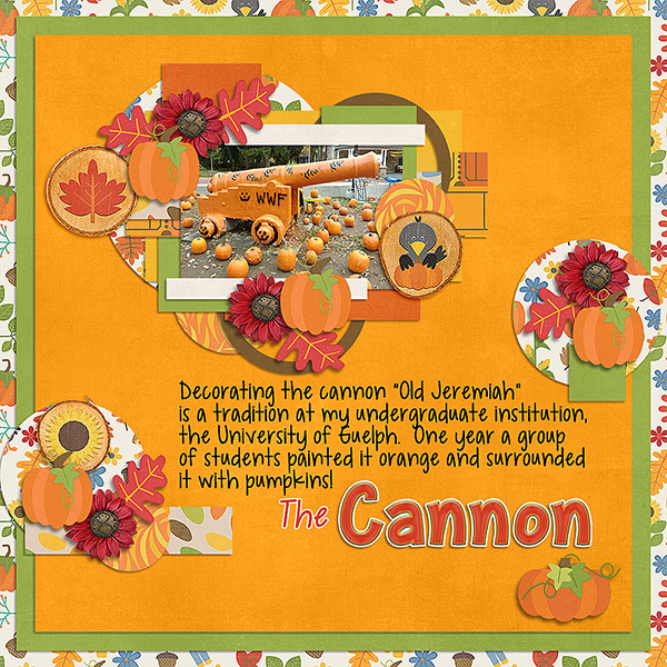 The Cannon