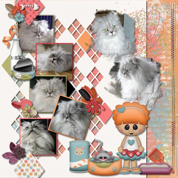 The Cat