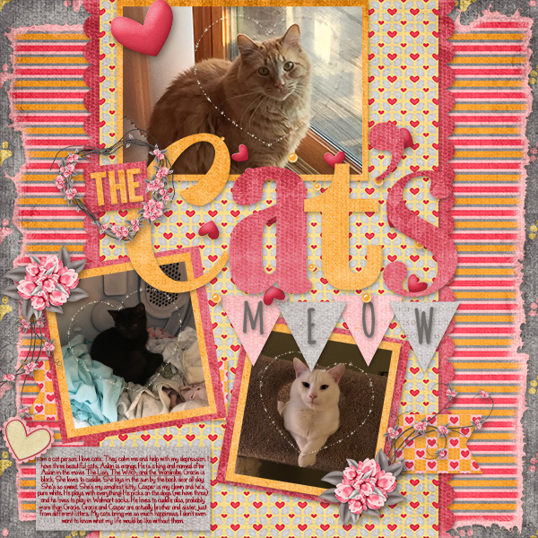 The Cat
