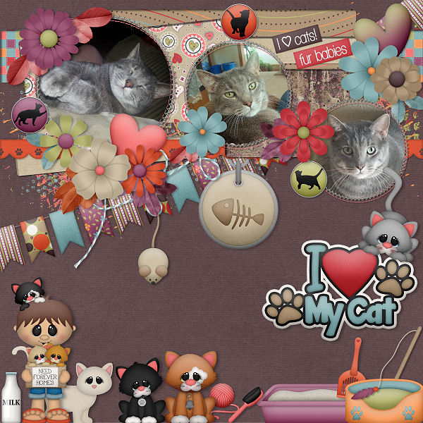 The Cats Meow