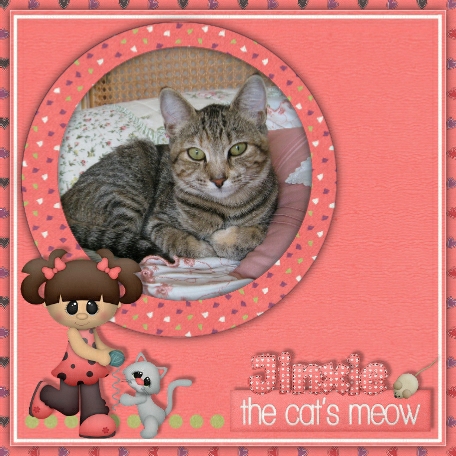 The Cat's Meow