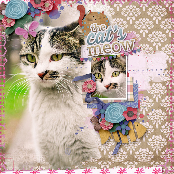 The Cats Meow