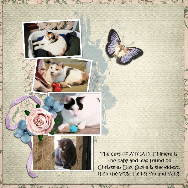 The Cats of ATCAD