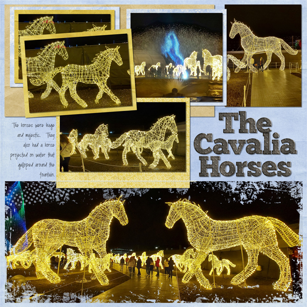 The Cavalia Horses