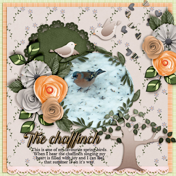 The-chaffinch