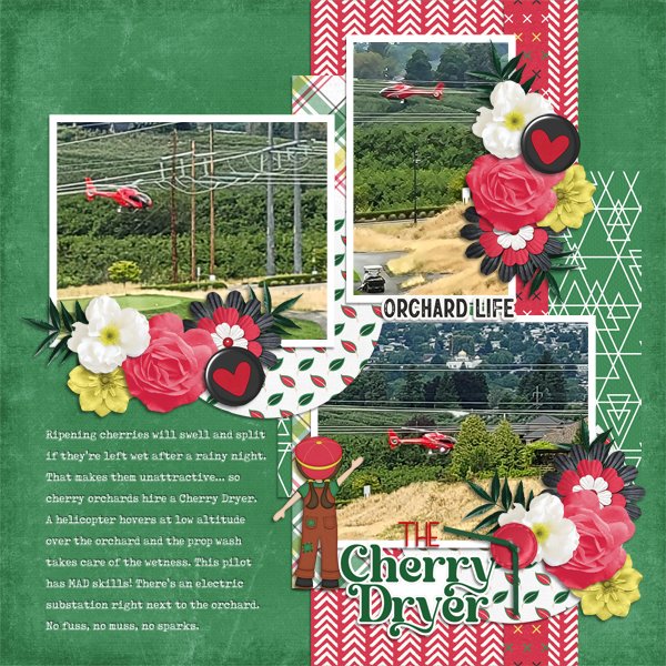 The Cherry Dryer
