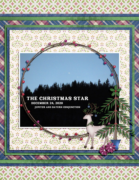 THE CHRISTMAS STAR