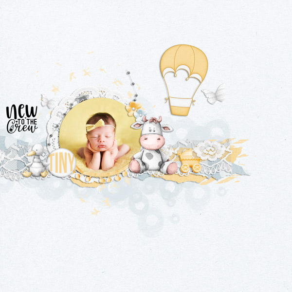 The Chronicles: Tiny + Mighty by Jen Yurko