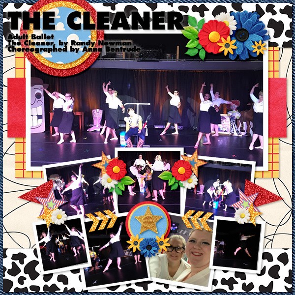 The Cleaner