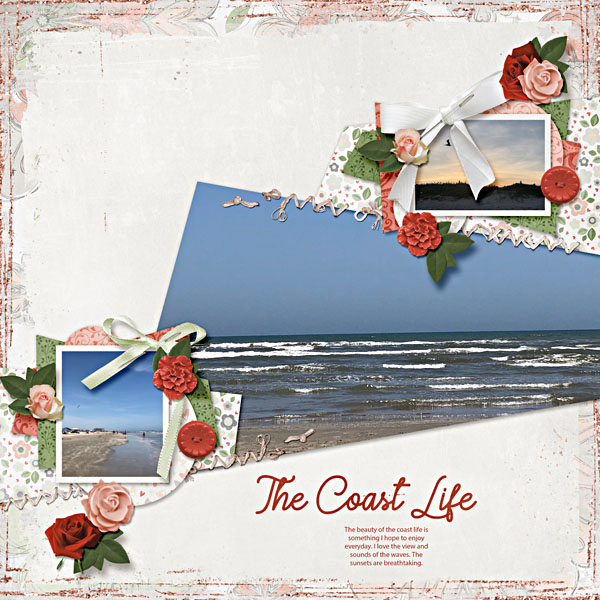 The Coast Life