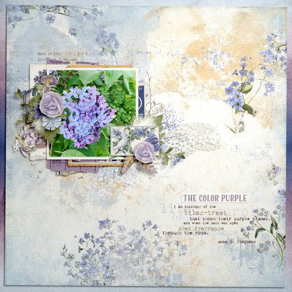 The Color Purple