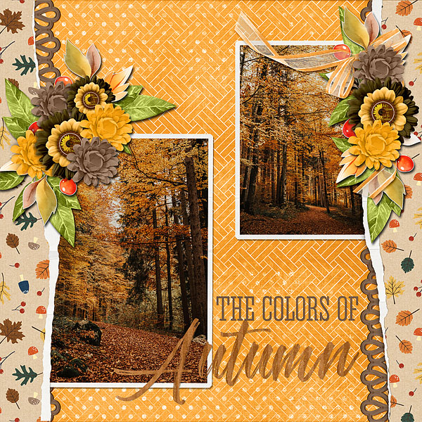 The Colors of Autumn