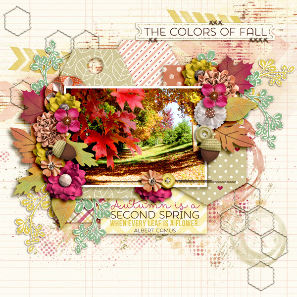 The Colors Of Fall
