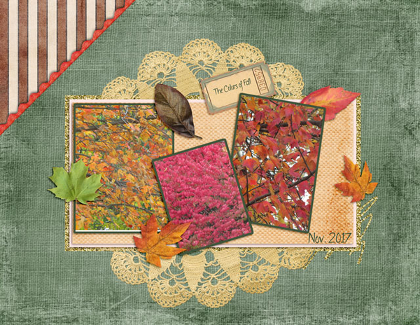The Colors of Fall