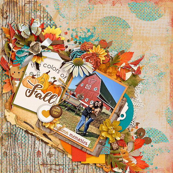 the colors of Fall