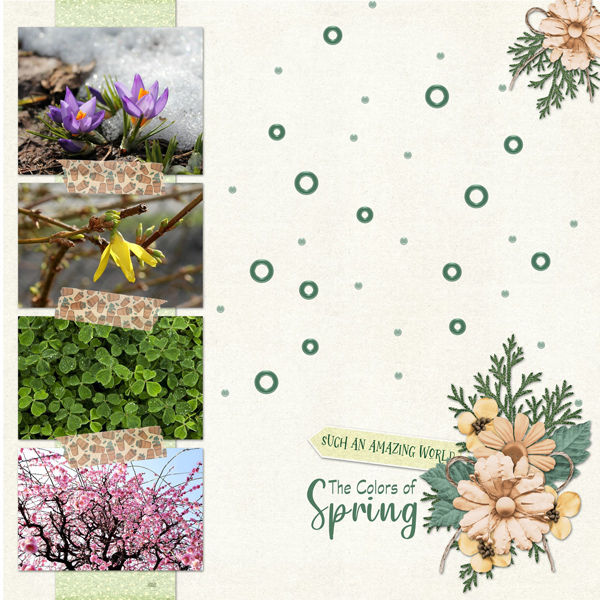 The Colors of Spring