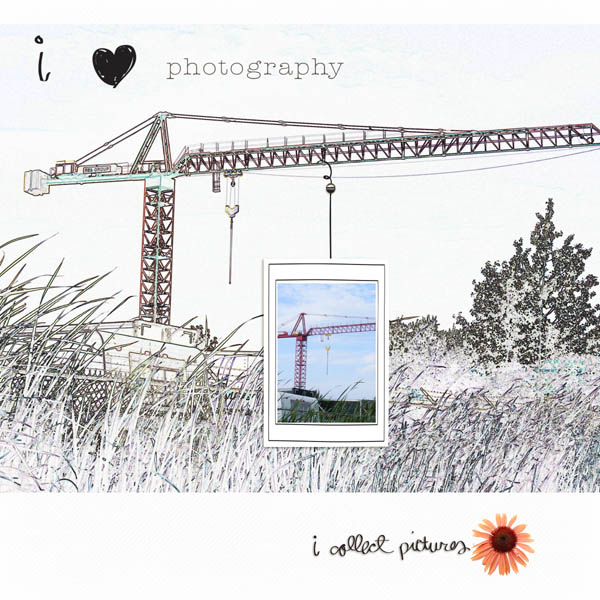 The Crane