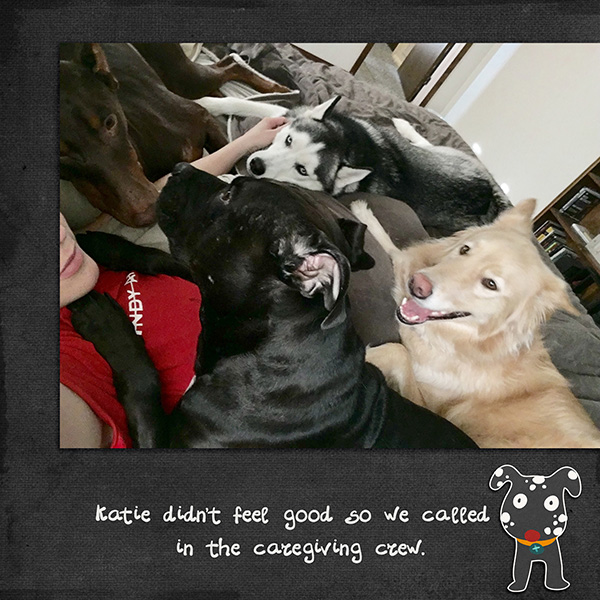 The Crew