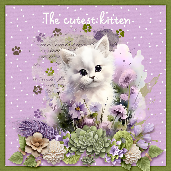 The-cutest-kitten