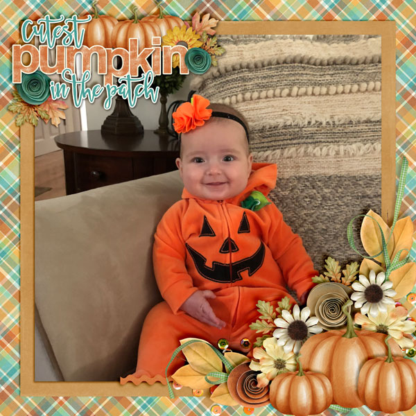 The-Cutest-Pumpkin
