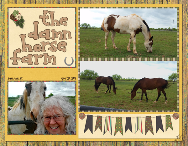 the damn horse farm