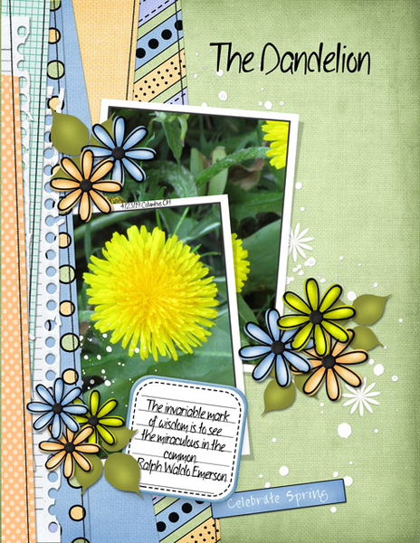The Dandelion