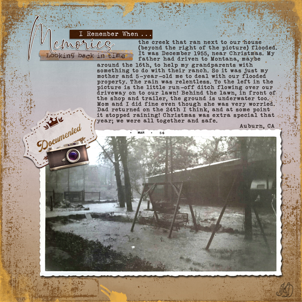 The December 1955 flood