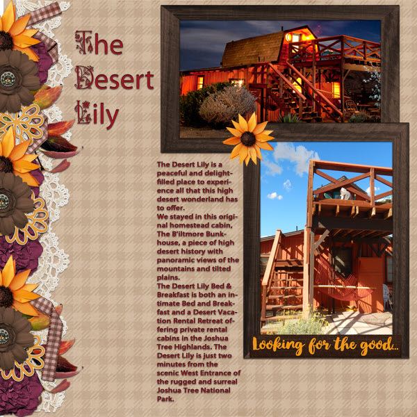 The Desert Lily