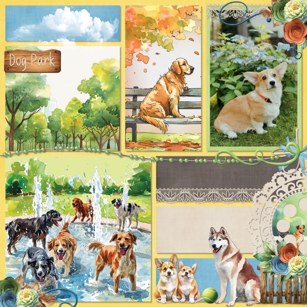 The dog park