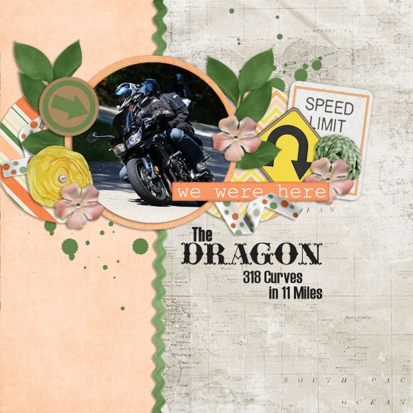 The Dragon