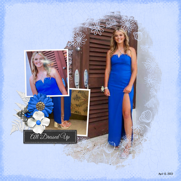 The Dress