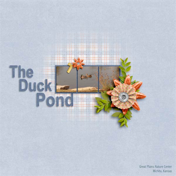 The Duck Pond
