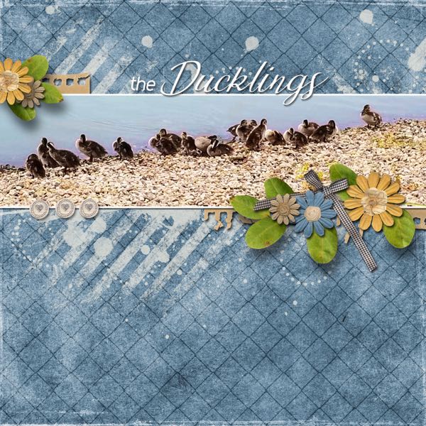 The Ducklings