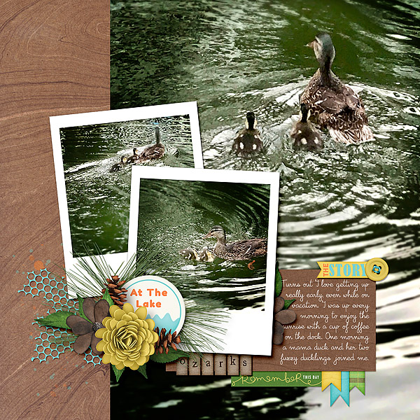The Ducks
