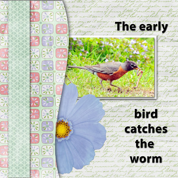 The early bird catches the worm