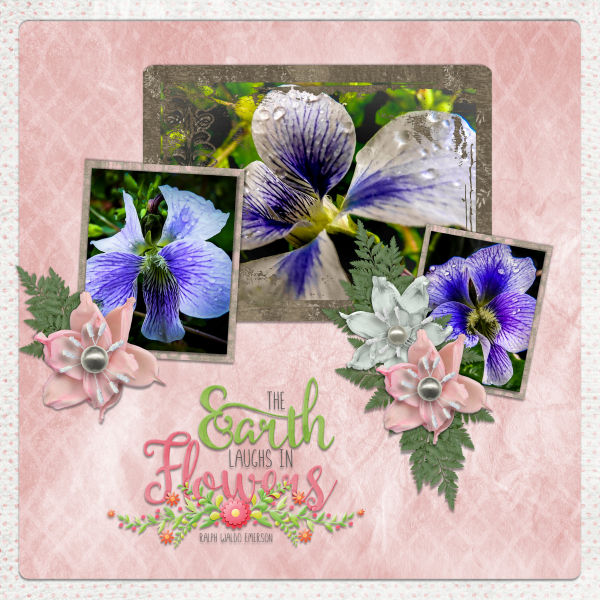 The Earth Laughs in Flowers