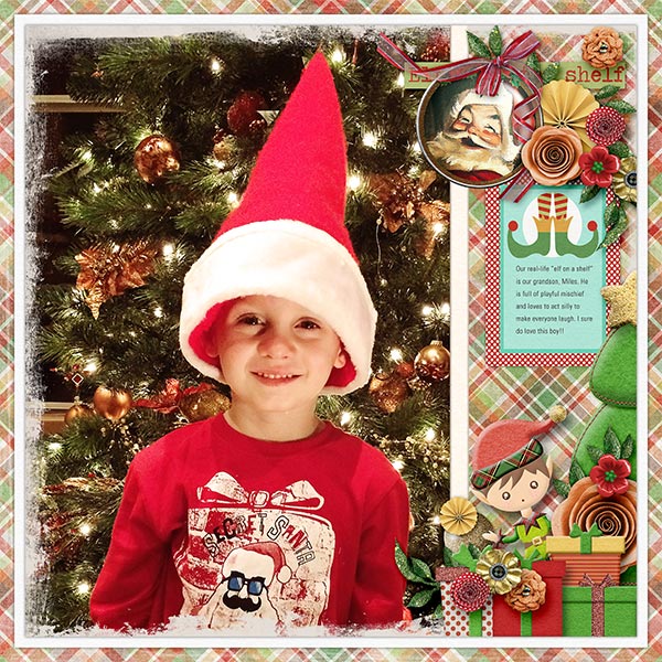 THE ELF ON THE SHELF