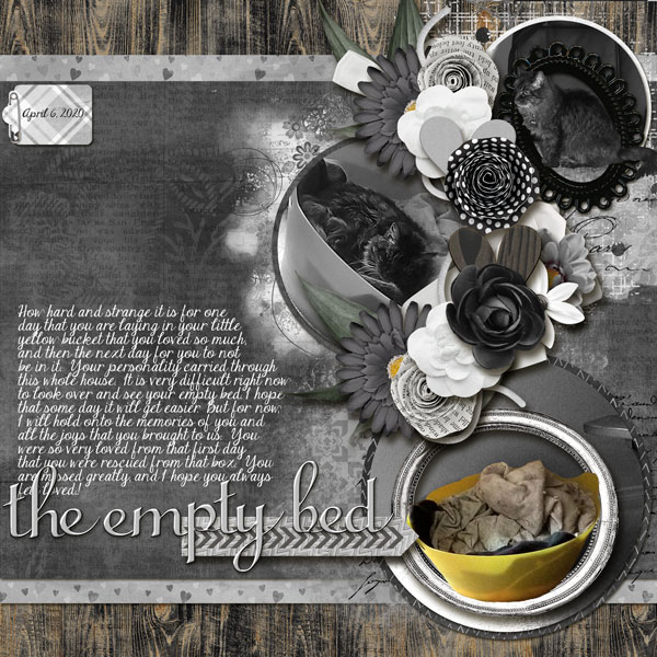 The empty bed